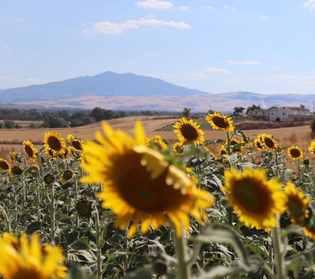 Masseria Agriturismo Moschella Posta Piana Екстериор снимка