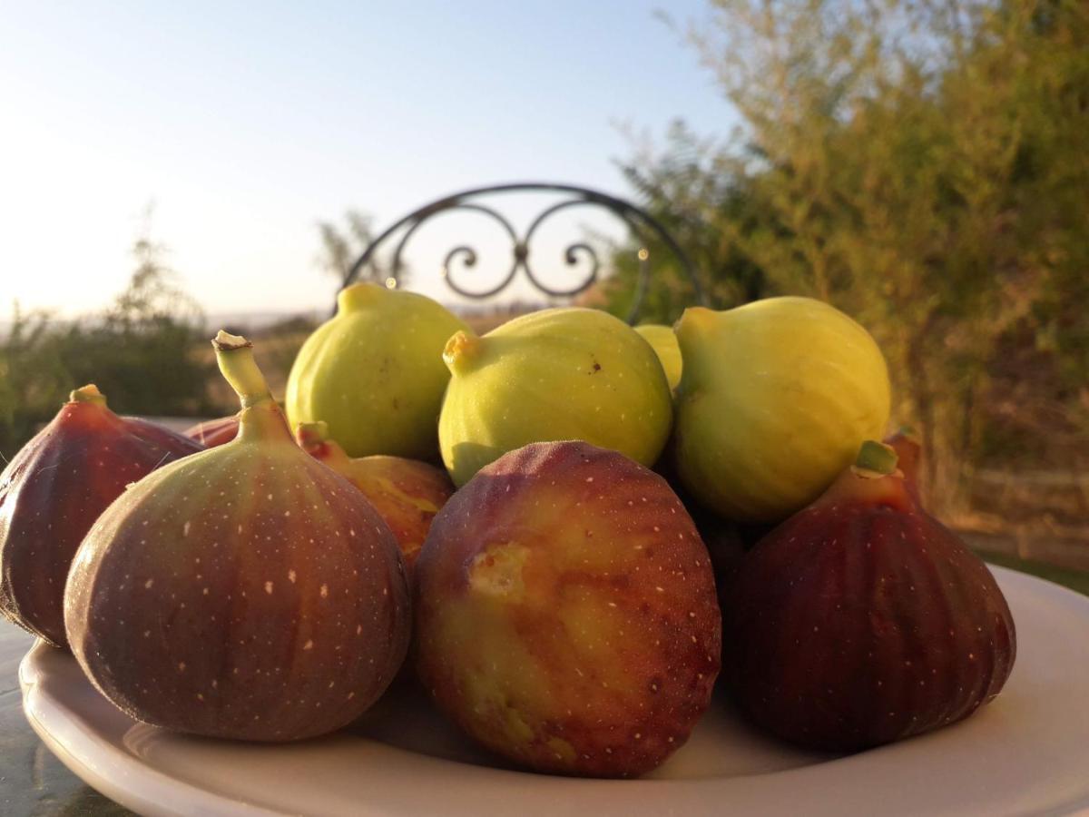 Masseria Agriturismo Moschella Posta Piana Екстериор снимка